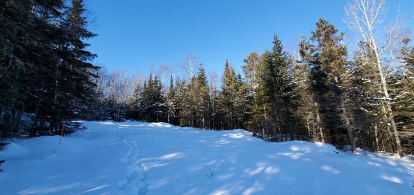 3 - Lot and land for sale, Les Éboulements (Code - eb236, Charlevoix)