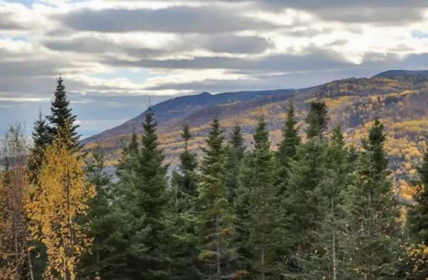 4 - Maison à vendre, Petite-Rivière-Saint-François (Code - pr842, Charlevoix)