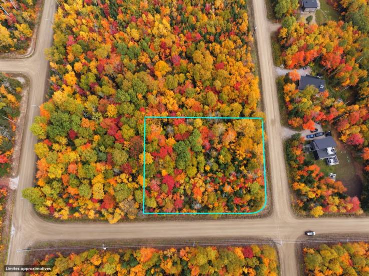 Lot and land for sale - Petite-Rivière-Saint-François, Charlevoix (PR864)