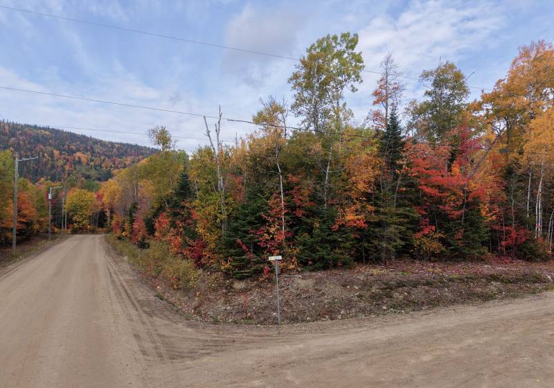 3 - Lot and land for sale, Petite-Rivière-Saint-François (Code - pr864, Charlevoix)