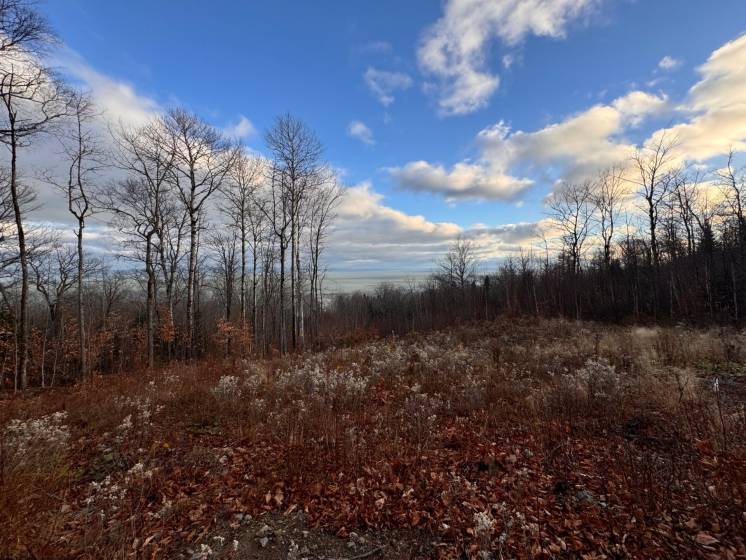 3 - Lot and land for sale, Petite-Rivière-Saint-François (Code - pr789, Charlevoix)