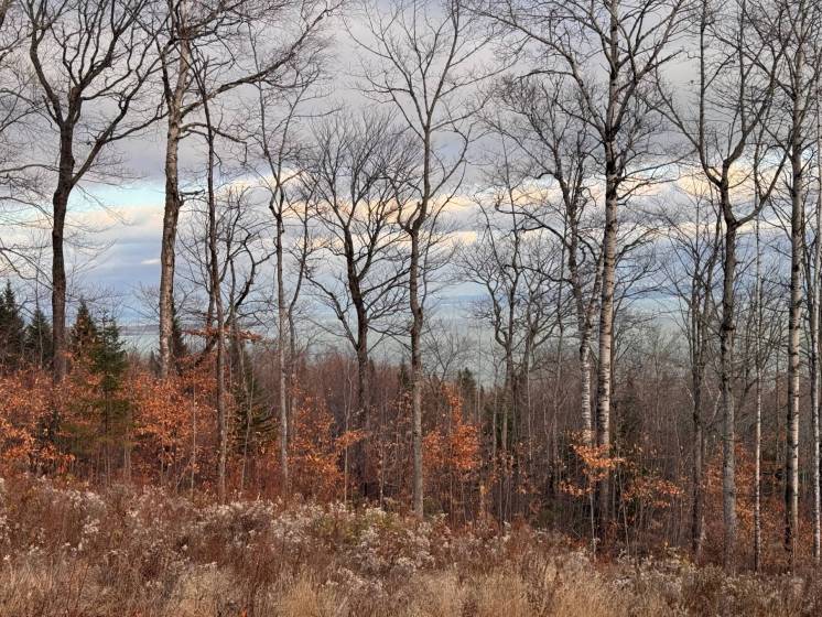 5 - Lot and land for sale, Petite-Rivière-Saint-François (Code - pr789, Charlevoix)