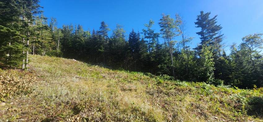 10 - Lot and land for sale, Les Éboulements (Code - eb310, Charlevoix)