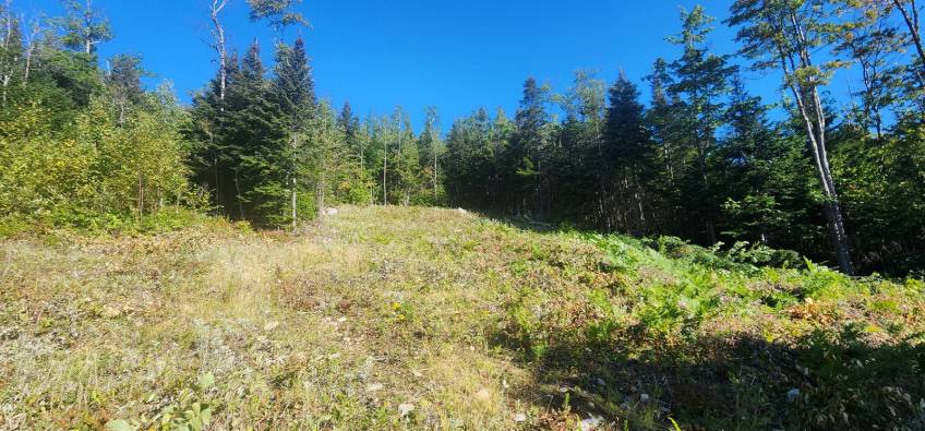 11 - Lot and land for sale, Les Éboulements (Code - eb310, Charlevoix)