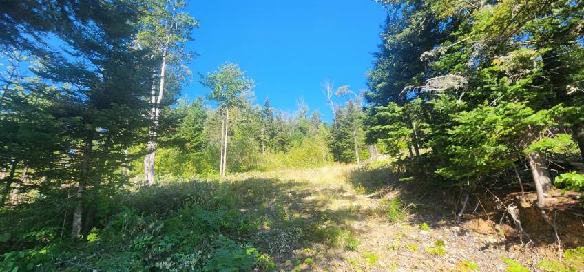 12 - Lot and land for sale, Les Éboulements (Code - eb310, Charlevoix)