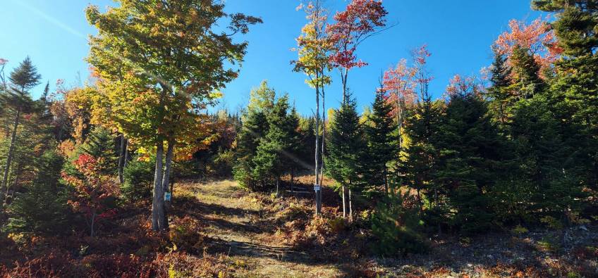 13 - Lot and land for sale, Les Éboulements (Code - eb310, Charlevoix)