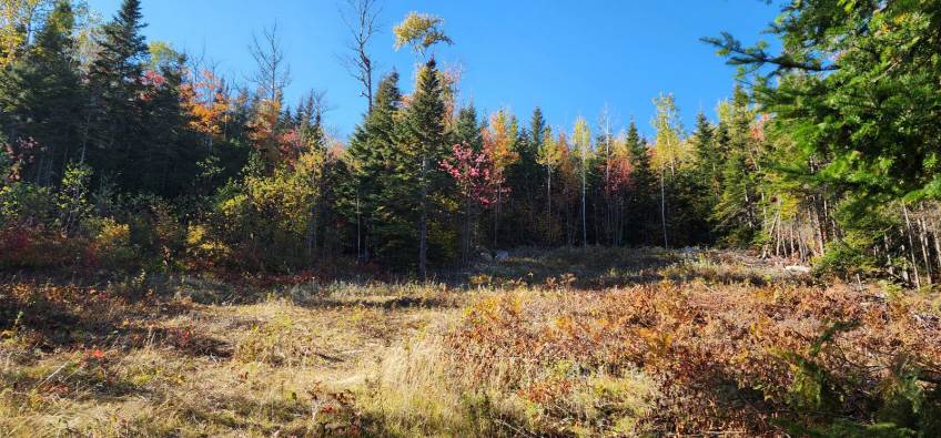 14 - Lot and land for sale, Les Éboulements (Code - eb310, Charlevoix)