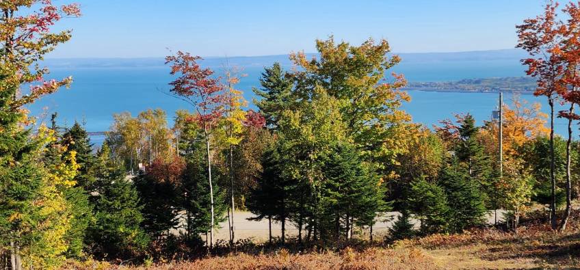15 - Lot and land for sale, Les Éboulements (Code - eb310, Charlevoix)