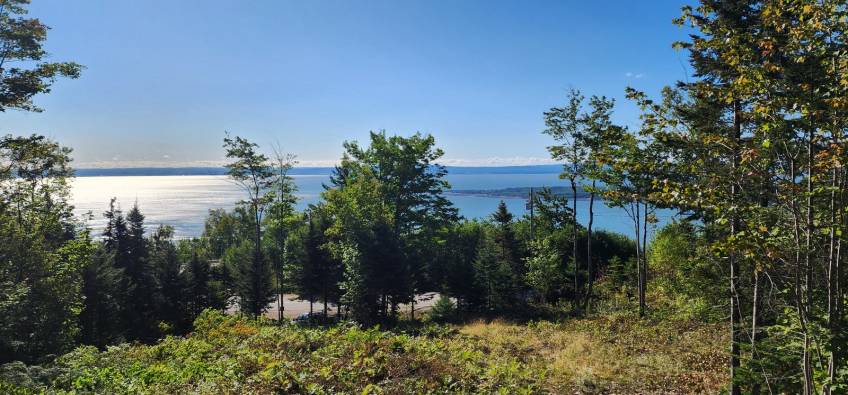 16 - Lot and land for sale, Les Éboulements (Code - eb310, Charlevoix)