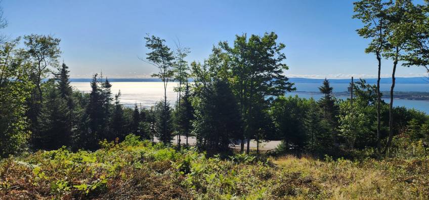 18 - Lot and land for sale, Les Éboulements (Code - eb310, Charlevoix)