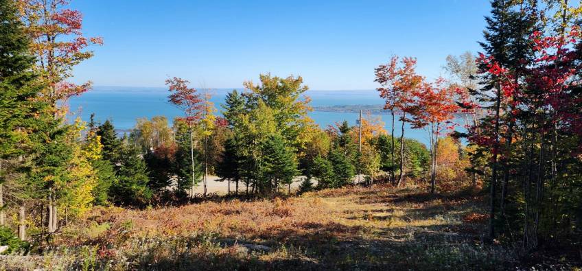 4 - Lot and land for sale, Les Éboulements (Code - eb310, Charlevoix)