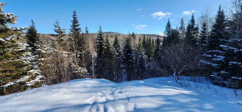 2 - Lot and land for sale, Les Éboulements (Code - eb303, Charlevoix)