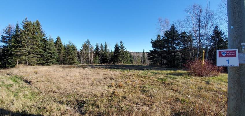 4 - Lot and land for sale, Les Éboulements (Code - eb303, Charlevoix)