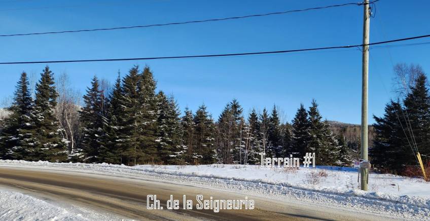 7 - Lot and land for sale, Les Éboulements (Code - eb303, Charlevoix)