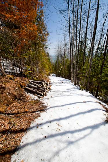 4 - Lot and land for sale, Petite-Rivière-Saint-François (Code - pr853, Charlevoix)