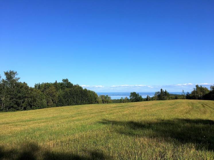 6 - Lot and land for sale, Les Éboulements (Code - eb320, Charlevoix)
