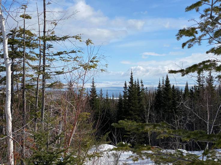 Lot and land for sale - La Malbaie, Charlevoix (MB378)