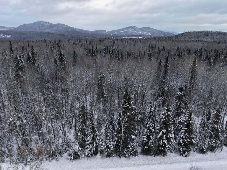 1 - Lot and land for sale, Petite-Rivière-Saint-François (Code - pr836, Charlevoix)