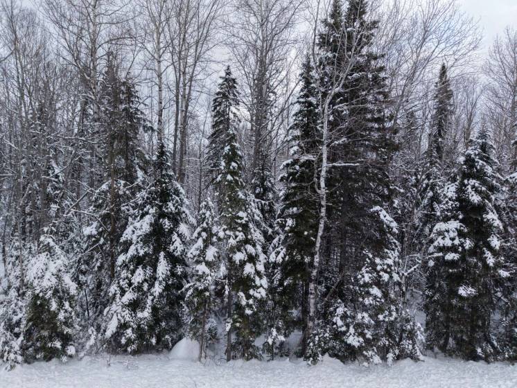 2 - Lot and land for sale, Petite-Rivière-Saint-François (Code - pr836, Charlevoix)