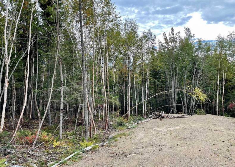 3 - Terrain et terre à vendre, Petite-Rivière-Saint-François (Code - pr850, Charlevoix)