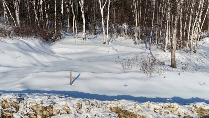 3 - Lot and land for sale, Baie-Saint-Paul (Code - sp920, Charlevoix)