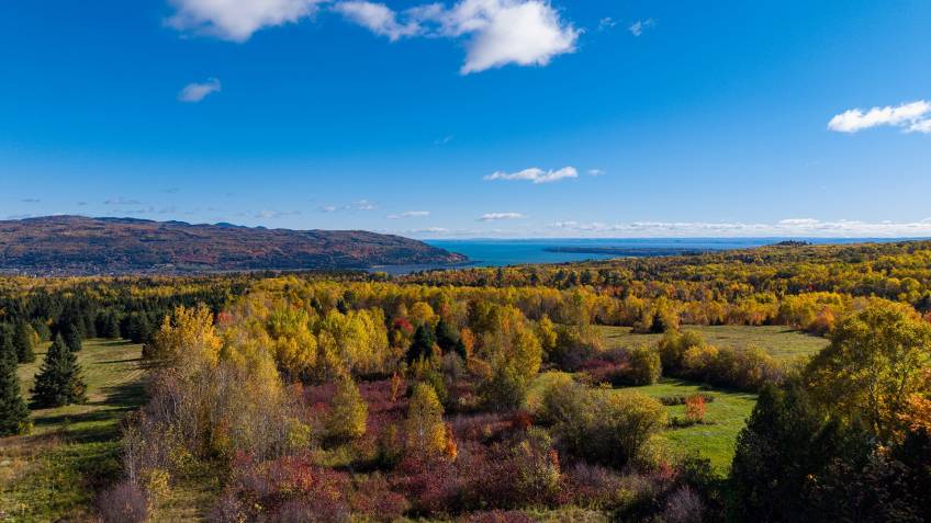 1 - Terrain et terre à vendre, Baie-Saint-Paul (Code - sp942, Charlevoix)