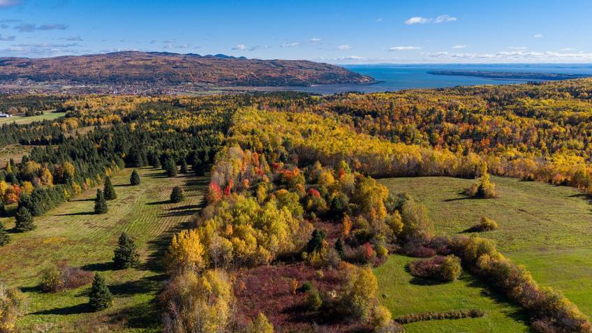3 - Terrain et terre à vendre, Baie-Saint-Paul (Code - sp942, Charlevoix)