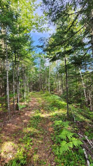 22 - Maison à vendre, Baie-Saint-Paul (Code - sp873, Charlevoix)