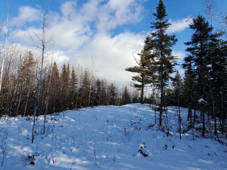 Lot and land for sale - Les Éboulements, Charlevoix (EB234)