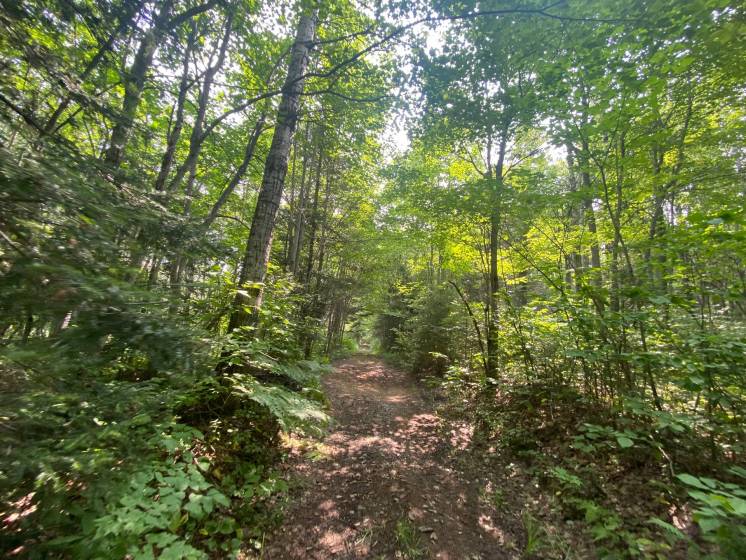 10 - Terrain et terre à vendre, Saint-Siméon (Code - ss070, Charlevoix)