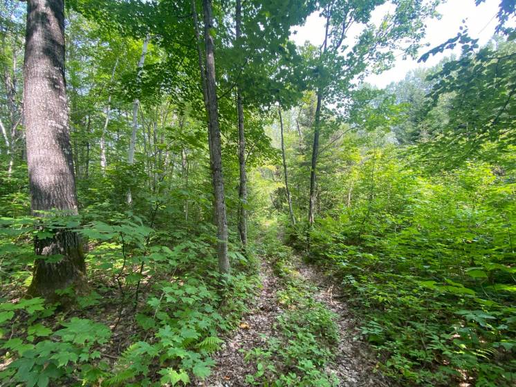 13 - Terrain et terre à vendre, Saint-Siméon (Code - ss070, Charlevoix)