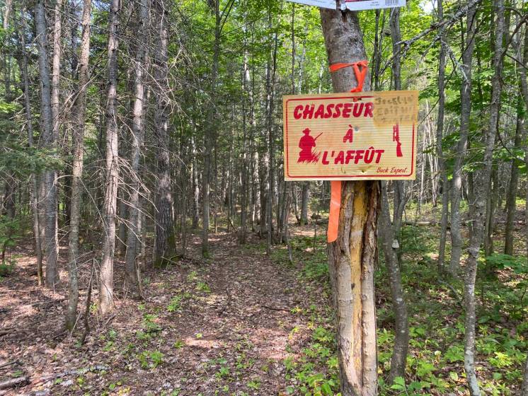 15 - Terrain et terre à vendre, Saint-Siméon (Code - ss070, Charlevoix)