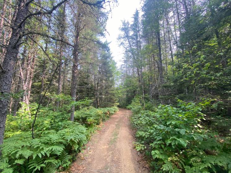 9 - Terrain et terre à vendre, Saint-Siméon (Code - ss070, Charlevoix)