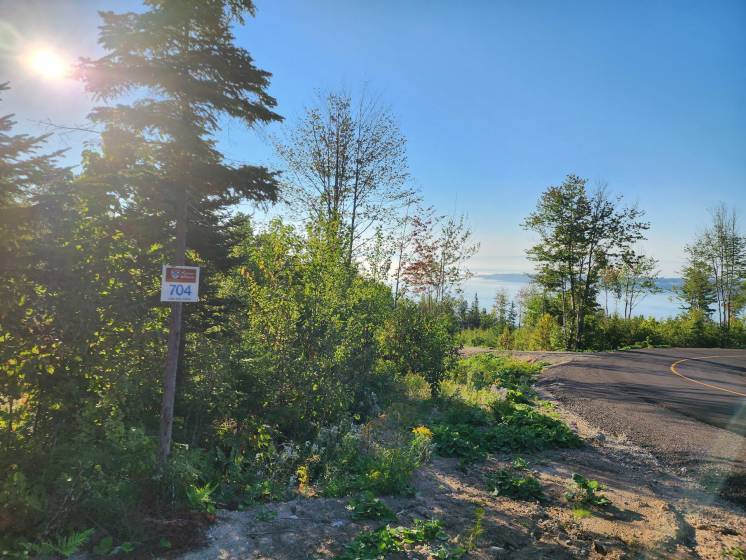 11 - Lot and land for sale, Les Éboulements (Code - eb290, Charlevoix)