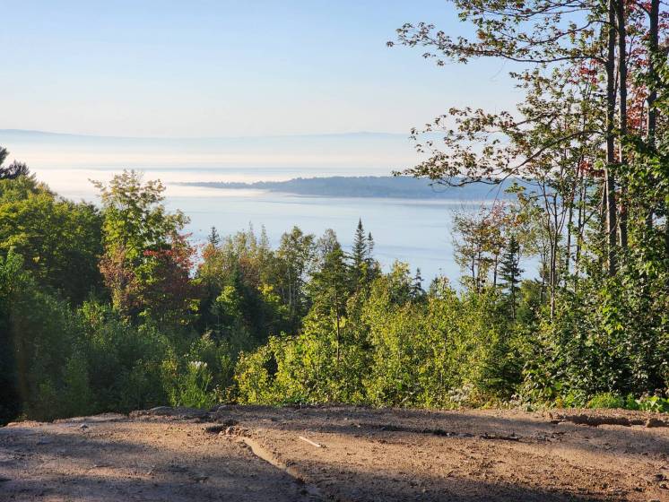 6 - Lot and land for sale, Les Éboulements (Code - eb290, Charlevoix)