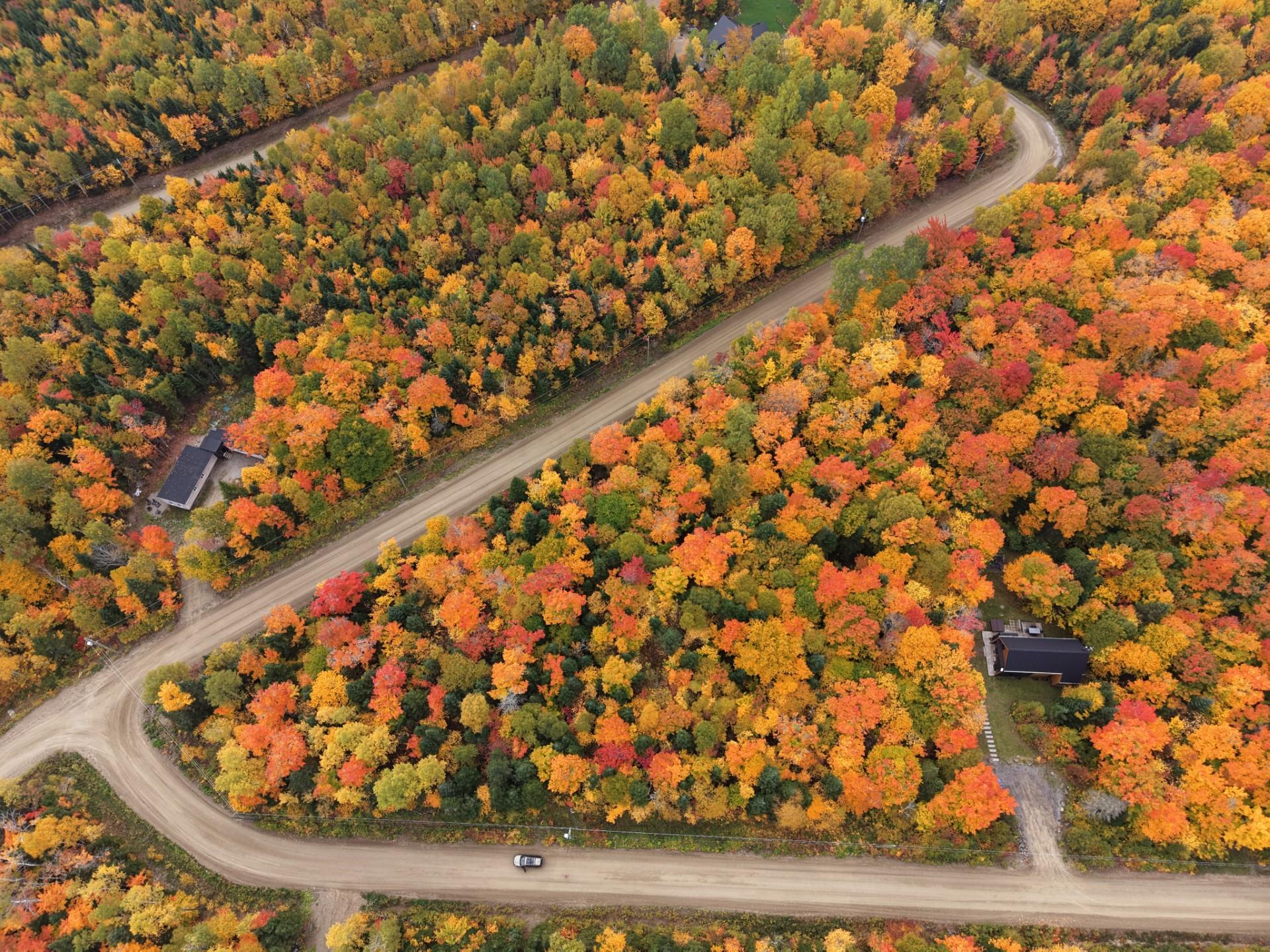 Terrain et terre à vendre — Petite-Rivière-Saint-François — photo 2