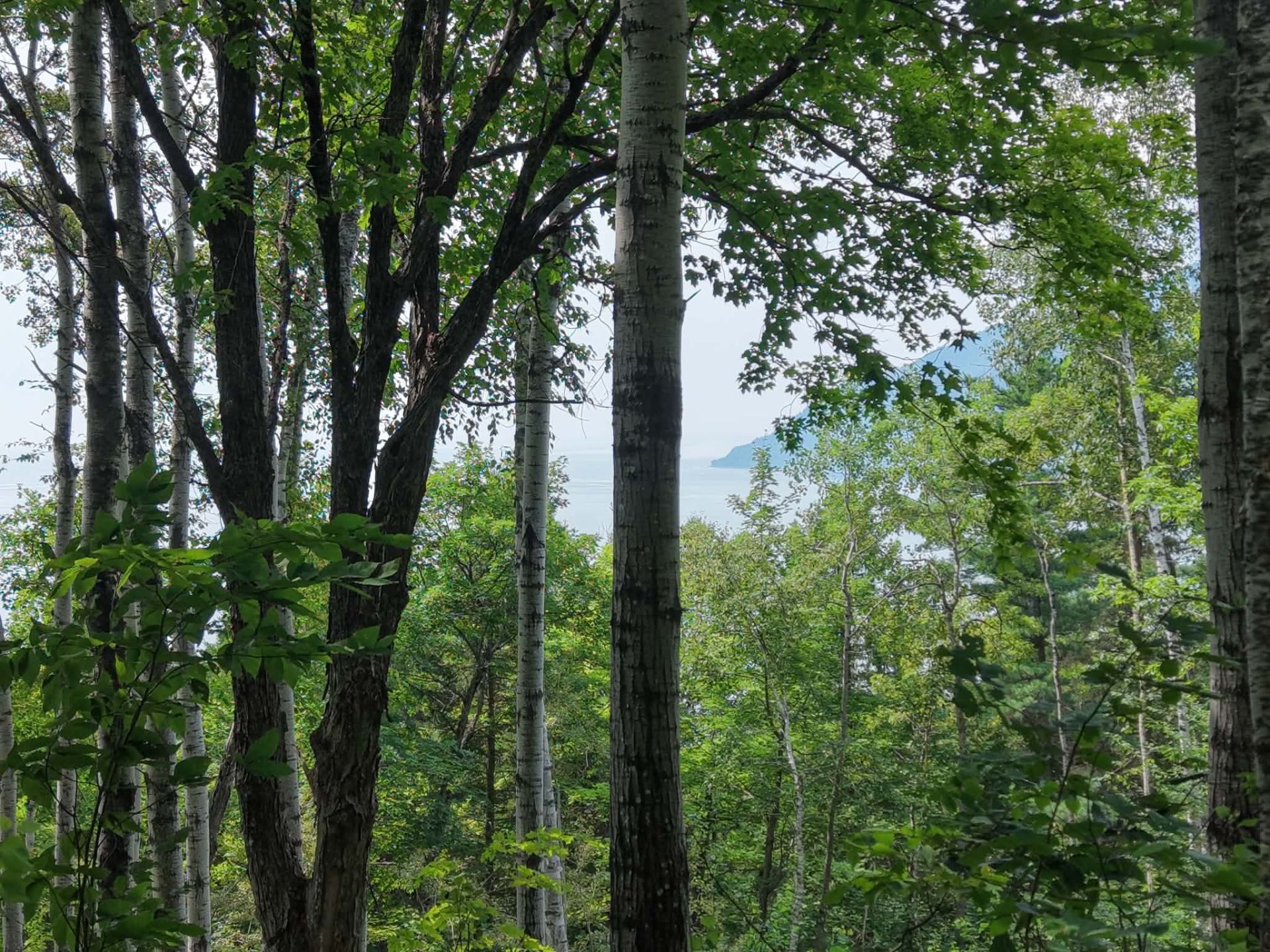 Terrain et terre à vendre — Baie-Saint-Paul — photo 2
