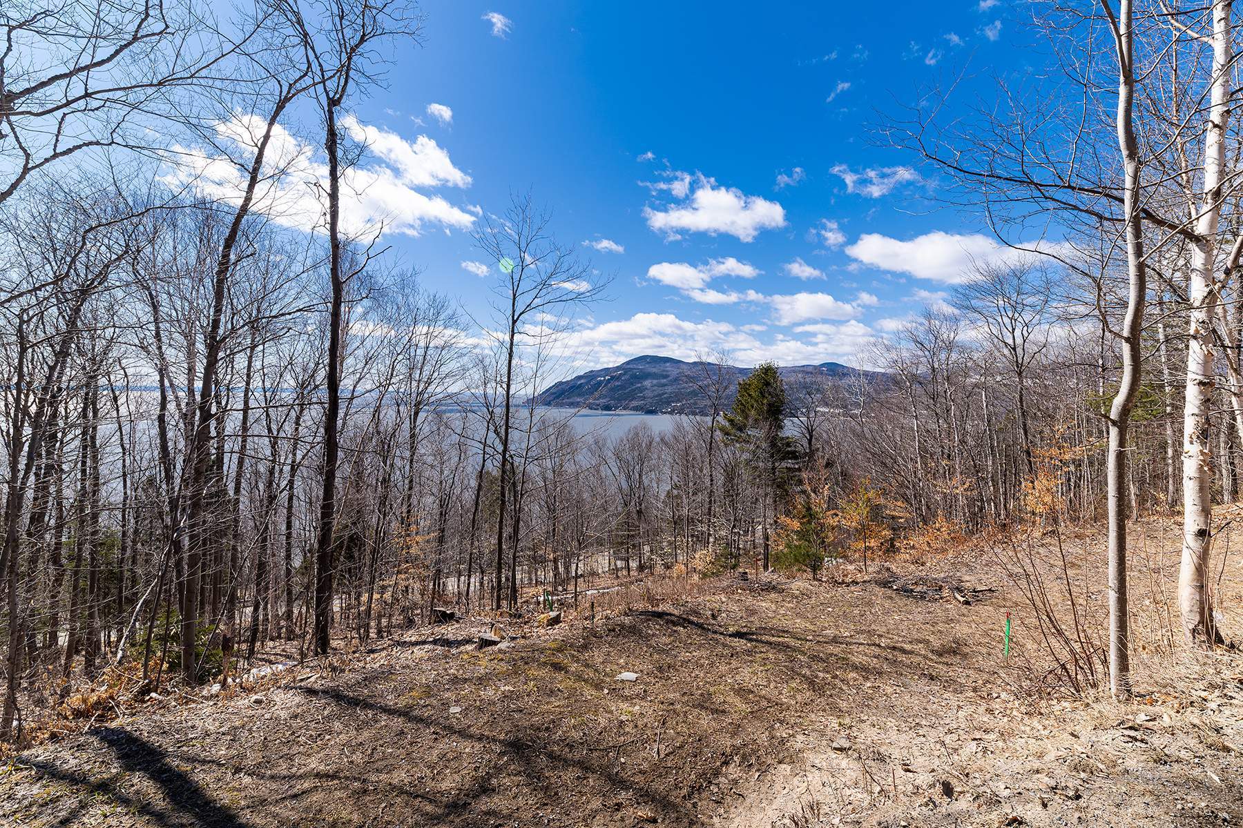 Terrain et terre à vendre — Baie-Saint-Paul — photo 3